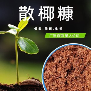 免泡椰糠營養土種花種菜基質土椰糠土泥炭土椰磚疏松土壤介質散糠