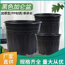 黑色吹塑側棱加侖盆樹脂塑料花盆側孔控根種植花盆多肉盆盆栽