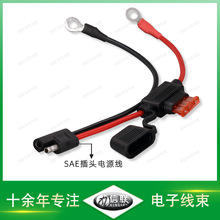 SAE插頭電源帶保險絲盒連接線光伏保險連接器SAE快速連接線
