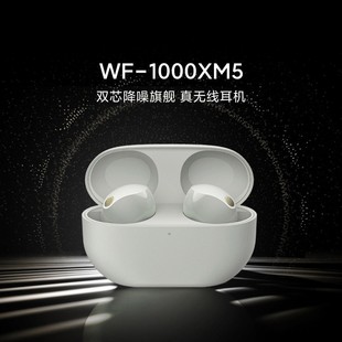 WF-1000XM5{C붹5ʽ