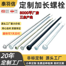 定制304 316不銹鋼鍍鋅螺桿非標杯頭六角加長特長螺絲