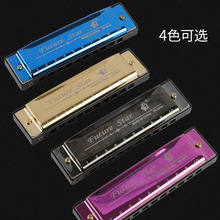 10孔Blues口琴外貿跨境批發塑料盒初學者入門演奏十孔布魯斯口琴