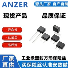 392保險絲 T3.15A 250V 慢斷保險絲 方形 方形保險絲 插件保險絲