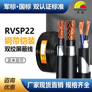 RVSP22䓎zb~pgRS485ͨӍ|̖ͨӍ늾|