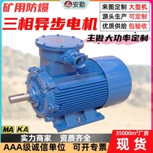 防爆三相異步電動機 礦用機械專用隔爆電機 供應YBK系列防爆電機