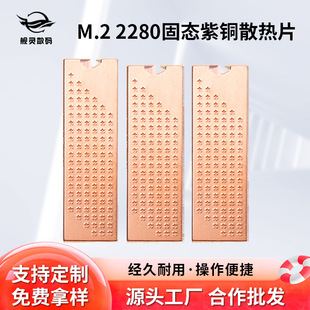 羳Ş`~Pro M.2 2280SSD̑BӲPɢƬPӛNVMeɢ