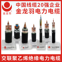 金龍羽電線電纜ZC-YJV WDZ-YJY 2/3/4/5芯國標銅芯阻燃電纜線定制
