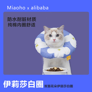 Miaohop滨ɯȦɐ