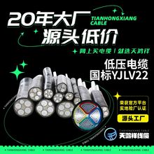 供應工程地埋線 防水橡膠軟護套低壓鋁電纜YJLV22 3*10+2*6電線