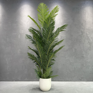 室內客廳仿真綠植散尾葵假植物假樹大型盆栽櫥窗落地裝飾擺件批發
