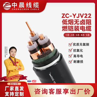湖北廠家ZC-YJV22低煙無鹵阻燃鎧裝電纜 電線電纜國標銅芯足米阻