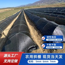 小拱棚支架玻璃纖維桿小棚蔬菜遮陽果園菜棚保溫棚專用拱桿養殖
