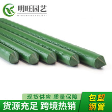 廠家供應爬藤架園藝支柱包塑鋼管植物支架爬藤花架支撐桿花支柱