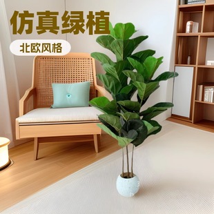 新品特惠琴葉榕盆栽家居室內裝飾綠植大型落地仿真植物仿真大琴葉