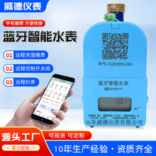 廠家直銷 手機藍牙掃碼充值智能水表電表出租房預付費冷熱4G遠程