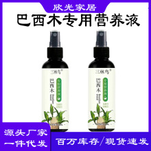 巴西木營養液專用肥料室內幸運木水培促爆芽防黃葉底部生根液體肥