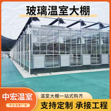 采摘園溫室 瓜果種植溫室玻璃單體大棚 無土栽培智能溫室大棚