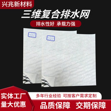 三維復合排水網廠家批發路基河道填埋場尾礦庫回填過濾復合排水網