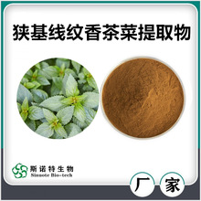 狹基線紋香茶菜提取物10:1 水溶性溪黃草濃縮粉 新資源食品