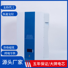 壁掛式磷酸鐵鋰電池51.2V100AH 48V200AH5KW & 10KW磷酸鐵鋰電池