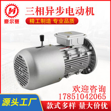 廠家直供三相異步電動機 卧式微型直流減速馬達電機交流三相電機