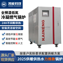 2025全預混冷凝鍋爐 模塊式燃氣鍋爐 工業供暖用熱水鍋爐 凱能科