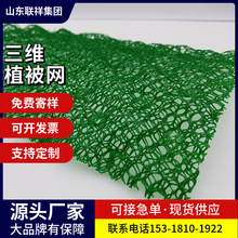 hdpe三維植被網廠家 邊坡防護EM3園林綠化護坡固土植草三維植被網