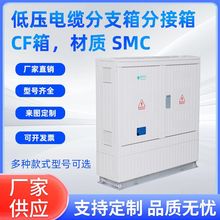 SMC玻璃鋼低壓控制成套配電箱落地式電纜雙電源分支箱分接箱CF箱