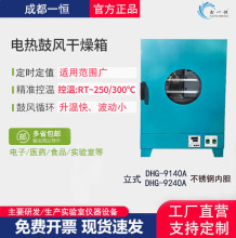 成都一恆廠家現貨電熱鼓風干燥箱實驗室恆溫干熱殺菌設備DHG-9140