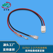 定制1015電子線2孔汽摩電動車線束霧燈插頭線 DJ7021-2汽車防水線
