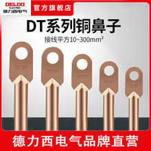 德力西DT銅鼻子10-300平方閉口接線端子銅直接管線耳電線電纜接頭