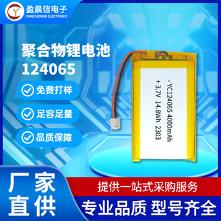 124065iۺ늳4000mAh3.7VvCCů֌늳