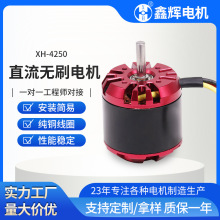 4250微型馬達無人機航模船滑板車高轉速大功率可調速無刷直流電機