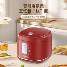 跨境電飯煲2.5L鈦內膽無塗層飯煲多功能家用全自動電飯鍋煮飯煲湯
