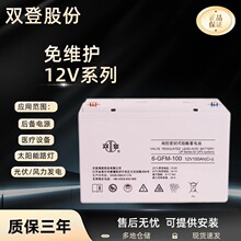 雙登蓄電池6-GFM鉛酸12V系列24/38/65/100AH閥控式免維護UPS電源