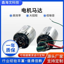 微型直流無刷電機高速風筒13萬轉高速電機 高轉速寵物吹風機馬達
