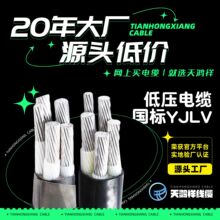 廠家熱銷鋁芯電纜地埋線 低壓電力電纜YJLV4*35+1*16保證產品質量