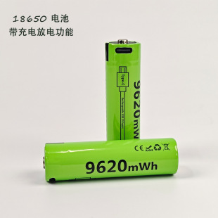 18650늳3.7V 2600MAH 9620mWh TYPE-C늳 羳S