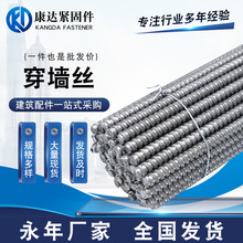 廠家供應穿牆絲對拉絲桿穿牆螺桿高強度建築穿牆絲梯形絲桿