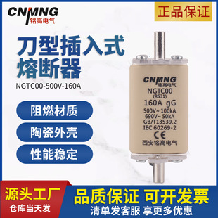 ͉۔NGTC00(RS31)gG160A/500V/690V/50A/63A/80A/100A/125A