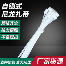 廠家批發國標 3*100 黑白色自鎖式尼龍扎帶塑料扎線固定拉緊器