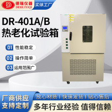 廠家直銷熱老化試驗箱橡膠塑料電線電纜不銹鋼內膽電熱鼓風干燥箱