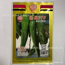 五洲牌綠甜570特大果甜尖椒種子四季盆栽陽台大田種植廠家批發