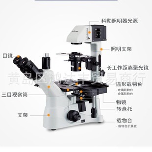 AMSCOPE @΢R ΢ָ@΢R IN480TA 9