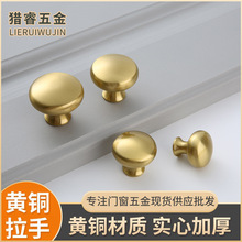現貨北歐單孔實心黃銅拉手 室內抽屜櫃茶幾衣櫥櫃門金色黃銅把手