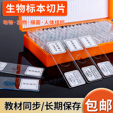 顯微鏡生物切片標本動物植物細胞顯微玻片切片套裝5片裝實驗器材