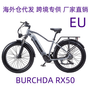 늄ɽ܇7BURCHDA RX50늄܇48V羳ԽҰp늄ӆ܇