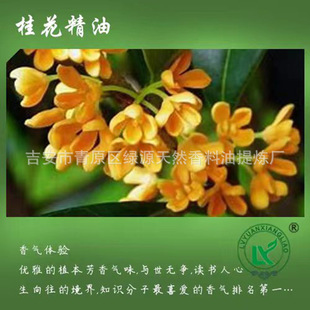 𻨾Osmanthus fragrans oil 𻨴޹ow