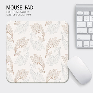 sСINSˉ|k|ˉ||mousepad