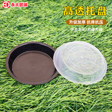花盆托盤塑料圓形底盤墊底盆栽花卉底座平邊托盤透明接水盤
